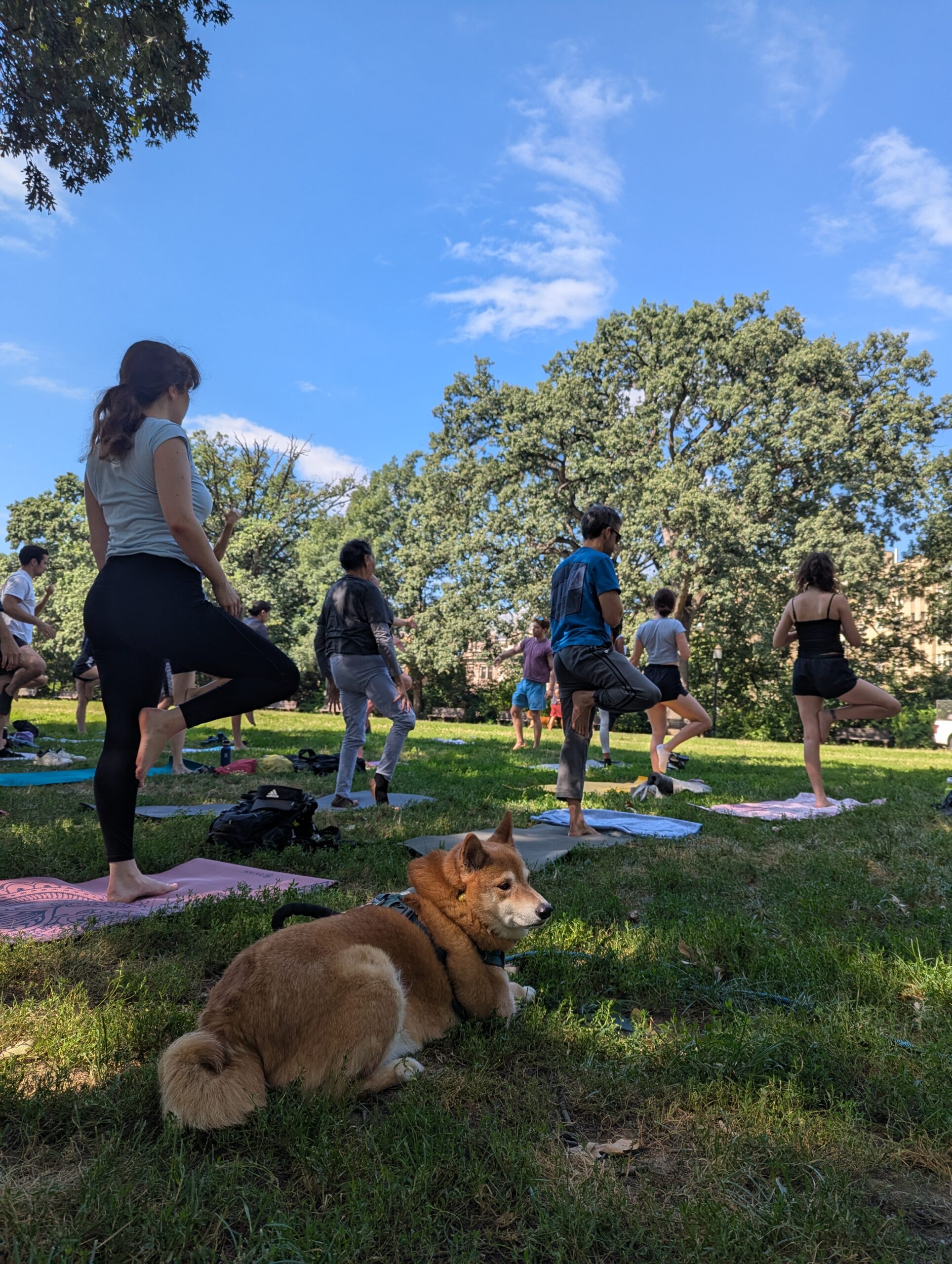 2025-08-09 Yoga with Griffen9