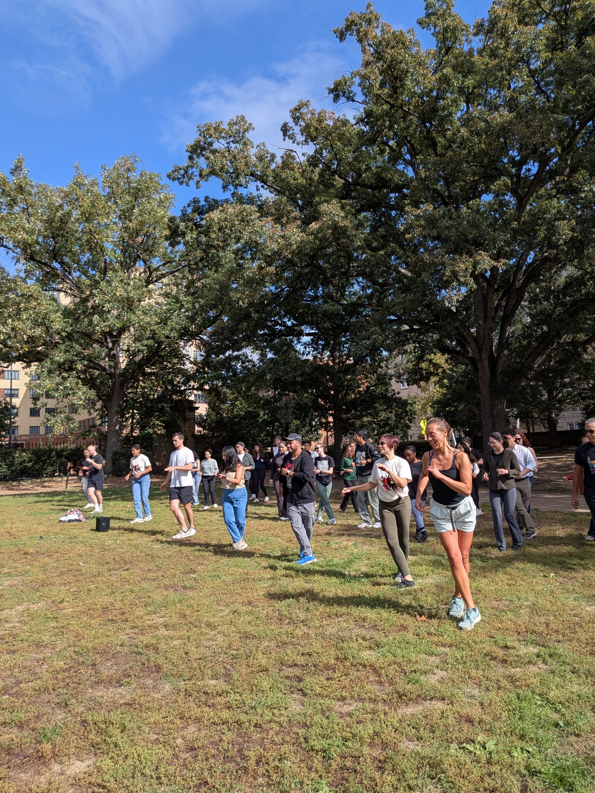 PXL_20251011_154606437